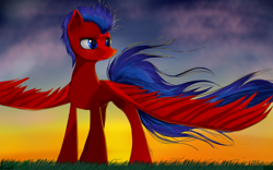 Size: 4000x2500 | Tagged: safe, artist:nixworld, oc, oc only, oc:swift wing, pegasus, pony, fanfic art, frown, grass, high res, male, oc pegasus, sky, solo, stallion, wings