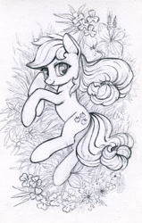 Size: 600x944 | Tagged: safe, artist:maytee, applejack, earth pony, pony, g4, cute, female, flower, grass, grayscale, hatless, jackabetes, looking at you, mare, missing accessory, monochrome, on side, pencil drawing, smiling, solo, traditional art
