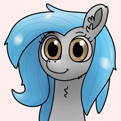 Size: 1015x1009 | Tagged: safe, artist:barpy, oc, oc only, oc:sweet elis, earth pony, pony, bust, chest fluff, colored, cute, female, looking at you, portrait, simple background, solo