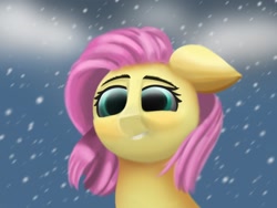 Size: 1920x1440 | Tagged: safe, artist:meodaiduoi, fluttershy, g4, awkward, cloud, cloudy, looking at you, smiling, snow, snowfall