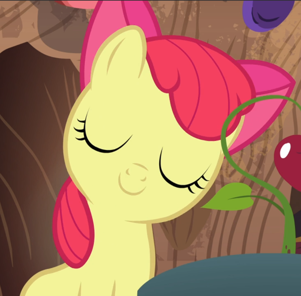 apple bloom pony