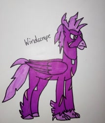 Size: 457x535 | Tagged: safe, artist:agirlwholovesmlp, oc, oc:windscrape, classical hippogriff, hippogriff, hippogriff oc, male, simple background, standing, text, traditional art, white background