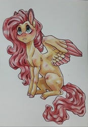 Size: 2160x3096 | Tagged: safe, artist:twixyamber, fluttershy, pegasus, pony, g4, cloven hooves, colored hooves, female, high res, looking away, looking up, mare, sitting, solo, spread wings, three quarter view, traditional art, two toned wings, wings