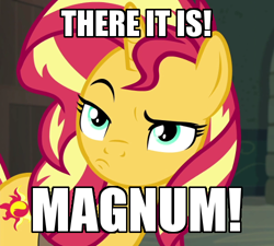 Size: 500x450 | Tagged: safe, edit, edited screencap, screencap, sunset shimmer, pony, unicorn, equestria girls, equestria girls specials, g4, my little pony equestria girls: better together, my little pony equestria girls: forgotten friendship, caption, cropped, female, image macro, looking at you, looking back, looking back at you, mare, meme, pouting, solo, text, unamused, zoolander