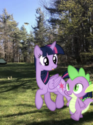 Size: 1242x1669 | Tagged: safe, photographer:undeadponysoldier, spike, twilight sparkle, alicorn, bird, falcon, pony, squirrel, g4, cascade falls, dragons in real life, forest, grass, happy, hiking, irl, nature, photo, ponies in real life, rock, tongue out, tree, twilight sparkle (alicorn)