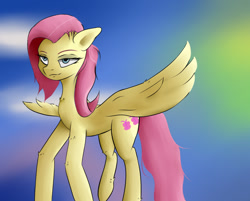 Size: 1276x1025 | Tagged: safe, artist:guatergau5, fluttershy, pegasus, pony, g4