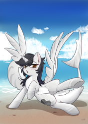 Size: 1926x2716 | Tagged: source needed, safe, alternate version, artist:yukandasama, oc, oc only, oc:taikongjiyi, alicorn, original species, pony, shark, shark pony, alicorn oc, beach, black mane, blushing, female, horn, looking at you, pale belly, sky, solo, spread wings, wings