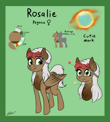Size: 3000x3320 | Tagged: safe, artist:seafooddinner, oc, oc only, oc:rosalie, pegasus, pony, commission, cute, cutie mark, female, flower, flower in hair, high res, jewelry, mare, necklace, reference sheet
