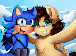 Size: 2379x1783 | Tagged: safe, artist:pridark, oc, hedgehog, pegasus, pony, bust, chest fluff, commission, fangs, glasses, looking at you, open mouth, ponified, portrait, smiling, sonic the hedgehog, sonic the hedgehog (series), waving