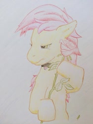 Size: 733x977 | Tagged: safe, artist:docard, roseluck, earth pony, pony, g4, choker necklace, colored pencil drawing, female, flower, mare, rose, solo, traditional art
