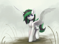 Size: 2639x2000 | Tagged: safe, artist:koviry, oc, oc only, pegasus, pony, cutie mark, fog, high res, smiling, solo, spread wings, walking, wings