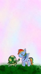 Size: 576x1024 | Tagged: safe, artist:tomizawa96, rainbow dash, tank, pegasus, pony, tortoise, g4, backwards cutie mark, grass, sky