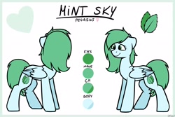 Size: 3000x2000 | Tagged: safe, artist:jellysketch, oc, oc only, oc:mint sky, pegasus, pony, high res, reference sheet, simple background, solo