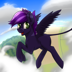 Size: 2500x2500 | Tagged: safe, artist:valthonis, oc, oc only, pegasus, pony, anatomically incorrect, cloud, high res, leonine tail, male, sky
