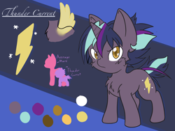 Size: 2048x1536 | Tagged: safe, artist:steelsoul, oc, oc only, oc:thunder current, pony, unicorn, cutie mark, female, male, offspring, parent:thunderlane, parent:twilight sparkle, parents:twilane, reference sheet, solo
