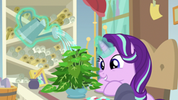 Size: 1920x1080 | Tagged: safe, screencap, phyllis, starlight glimmer, pony, unicorn, a horse shoe-in, g4, cute, female, glimmerbetes, inkwell, magic, magic aura, mare, philodendron, potted plant, quill, scroll, starlight's office, telekinesis, watering can