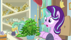 Size: 1920x1080 | Tagged: safe, screencap, phyllis, starlight glimmer, pony, unicorn, a horse shoe-in, g4, female, inkwell, magic, magic aura, mare, philodendron, potted plant, quill, scroll, starlight's office, telekinesis