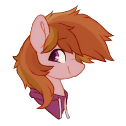 Size: 1024x1024 | Tagged: safe, artist:orchidpony, oc, oc only, oc:stuben, earth pony, pony, clothes, head only, hoodie, simple background, solo, transparent background