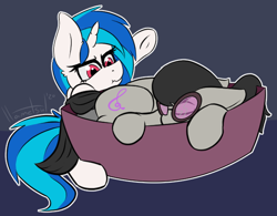 Size: 614x480 | Tagged: safe, artist:llametsul, dj pon-3, octavia melody, vinyl scratch, earth pony, pony, unicorn, g4, accessory theft, angry, annoyed, basket, behaving like a cat, cute, cutie mark, duo, ear fluff, eyes closed, female, glasses, horn, madorable, mare, scrunchy face, signature, simple background, sleeping, underhoof, upset, vinyl's glasses