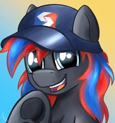 Size: 1111x1185 | Tagged: safe, artist:dsana, oc, oc only, earth pony, pony, cap, commission, hat, looking at you, open mouth, solo, underhoof