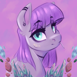 Size: 6000x6000 | Tagged: safe, artist:faline-art, maud pie, earth pony, pony, g4, bandage, ear piercing, earring, female, jewelry, looking at you, mare, piercing, solo