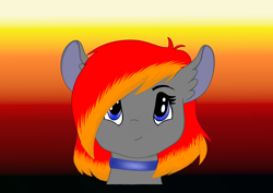 Size: 3508x2480 | Tagged: safe, artist:livvyloulou, oc, oc only, oc:arian blaze, pony, bust, collar, high res, smiling, solo