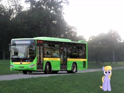 Size: 3264x2448 | Tagged: safe, artist:topsangtheman, cloud kicker, pegasus, pony, g4, bus, forest, high res, irl, looking at you, photo, ponies in real life, solo, tree