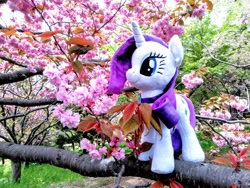 Size: 2080x1560 | Tagged: safe, photographer:pakapaka1993, rarity, pony, g4, cherry blossoms, flower, flower blossom, irl, japan, photo, plushie, solo