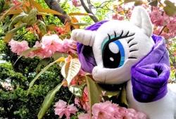 Size: 2048x1383 | Tagged: safe, photographer:pakapaka1993, rarity, pony, g4, cherry blossoms, flower, flower blossom, irl, japan, photo, plushie, solo