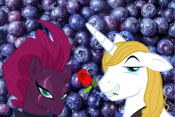 Size: 2064x1378 | Tagged: safe, fizzlepop berrytwist, prince blueblood, tempest shadow, pony, unicorn, g4, annoyed, berryblood, blueberry, female, flower, flower in mouth, food, frown, fruit, male, mare, mouth hold, opposites, pun, rose, rose in mouth, shipping, smiling, smug, stallion, straight, tempest shadow is not amused, unamused, word play