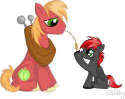 Size: 1193x949 | Tagged: safe, artist:shiv3ry, big macintosh, oc, oc:night sickle, earth pony, pegasus, pony, g4, adopted offspring, big macintosh's yoke, blank flank, colt, cute, cutie mark, father and child, father and son, freckles, hay stalk, macabetes, male, missing freckles, offspring, parent:big macintosh, parent:fluttershy, parents:fluttermac, simple background, smiling, stallion, straw in mouth, transparent background, unshorn fetlocks