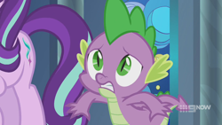 Size: 1280x720 | Tagged: safe, screencap, spike, starlight glimmer, dragon, pony, unicorn, g4, memories and more, spoiler:memories and more, spoiler:mlp friendship is forever, 9now, duo, winged spike, wings, worried