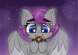 Size: 2560x1820 | Tagged: safe, artist:janelearts, oc, oc only, pegasus, pony, chibi, commission, donut, female, food, mare, nom, solo