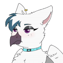 Size: 400x400 | Tagged: safe, artist:suenden-hund, oc, oc only, oc:izzy, griffon, animated, blushing, chest fluff, choker, collar, cute, ear piercing, eyeshadow, female, frame by frame, gif, goth, gothic, griffon oc, makeup, ocbetes, piercing, ruffled feathers, simple background, solo, surprised, transparent background, tsundere