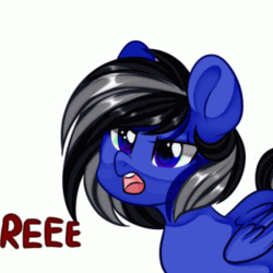 Size: 500x500 | Tagged: safe, artist:thieftea, oc, oc only, oc:driftor, pegasus, pony, animated, animated ych, black hair, blue, blue coat, blue eyes, folded wings, gif, grey hair, male, open mouth, pegasus oc, reeee, simple background, solo, stallion, striped mane, two toned hair, two toned mane, white background, wings