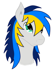 Size: 2024x2648 | Tagged: safe, artist:dalirpl, oc, oc only, oc:bright flake, pony, high res, simple background, solo, transparent background