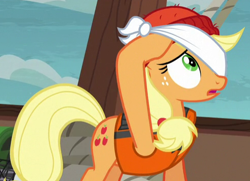 Size: 488x353 | Tagged: safe, screencap, applejack, earth pony, pony, g4, ppov, blindfold, cropped, female, hat, mare, solo