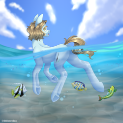 Size: 2000x2000 | Tagged: safe, artist:ohhoneybee, oc, oc only, oc:mei mei, earth pony, fish, pony, bubble, cloud, female, high res, mare, ocean, open mouth, sky, solo, swimming, teeth, underwater, water