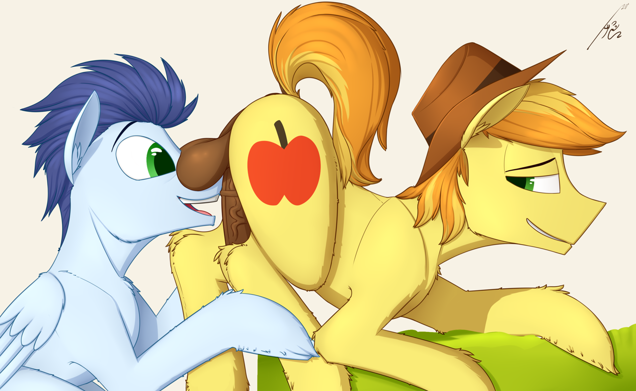 ...braeburn, soarin', earth pony, pegasus, pony, anus, balls, balls on...