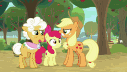 Size: 320x180 | Tagged: safe, screencap, ahuizotl, apple bloom, applejack, biff, discord, doctor caballeron, doctor whooves, fluttershy, goldie delicious, granny smith, matilda, pinkie pie, rainbow dash, rarity, spike, starlight glimmer, sunburst, time turner, trixie, twilight sparkle, alicorn, donkey, draconequus, dragon, earth pony, pony, unicorn, a horse shoe-in, a trivial pursuit, a-dressing memories, cakes for the memories, daring doubt, dragon dropped, g4, going to seed, student counsel, the ending of the end, spoiler:a-dressing memories, spoiler:a-dressing memories spoiler:cakes for the memories, spoiler:cakes for the memories, animated, apple, apple tree, bag, boop, boop compilation, carousel boutique, compilation, female, food, gif, glasses, glowing eyes, henchmen, male, mare, messy hair, messy mane, noseboop, saddle bag, stallion, sugarcube corner, supercut, tree, twilight snapple, twilight sparkle (alicorn), winged spike, wings