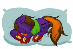 Size: 1800x1200 | Tagged: safe, artist:cadetredshirt, oc, oc only, oc:technickel pony, earth pony, pony, brown mane, clothes, commission, ear fluff, eyes closed, facial hair, long tail, pillow, purple coat, shirt, shoes, sleeping, smiling, sneakers, solo, two toned tail, ych result