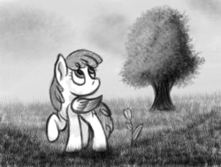 Size: 590x445 | Tagged: safe, artist:ahorseofcourse, spring melody, sprinkle medley, pegasus, pony, g4, grayscale, monochrome, raised hoof, solo
