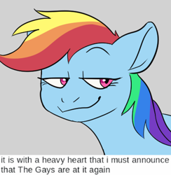 Size: 435x446 | Tagged: safe, artist:anonymous, rainbow dash, pegasus, pony, g4, 4chan, bust, drawthread, implied gay, implied lesbian, male, meme, ponified, ponified meme, simple background, smug, solo, text