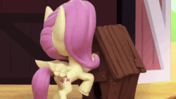 Size: 800x450 | Tagged: safe, screencap, fluttershy, pegasus, pony, diy with my little pony - carving contest, g4.5, my little pony: stop motion short, animated, barn, cute, doghouse, female, gif, happy, plank, safety goggles, shyabetes, solo, stop motion, wings, wood