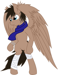 Size: 5898x7605 | Tagged: safe, artist:nero-narmeril, oc, oc only, pegasus, pony, absurd resolution, bipedal, male, simple background, solo, stallion, transparent background