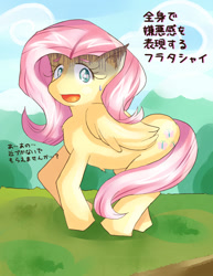 Size: 724x937 | Tagged: safe, artist:araiiara123, fluttershy, pony, g4, female, japanese, solo