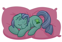 Size: 1800x1200 | Tagged: safe, artist:cadetredshirt, oc, oc only, earth pony, pony, commission, eyes closed, pillow, sleeping, solo, ych result