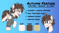 Size: 3840x2160 | Tagged: safe, artist:autumn feather, oc, oc only, oc:autumn feather, pegasus, pony, clothes, glasses, high res, hoodie, reference sheet, solo, text