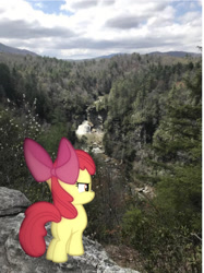 Size: 1086x1455 | Tagged: safe, photographer:undeadponysoldier, apple bloom, earth pony, pony, g4, bow, cliff, female, filly, irl, linville falls, majestic, majestic as fuck, nature, photo, ponies in real life, solo, water