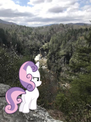 Size: 1242x1662 | Tagged: safe, photographer:undeadponysoldier, sweetie belle, pony, unicorn, g4, cliff, female, filly, irl, linville falls, majestic, majestic as fuck, nature, photo, ponies in real life, solo, water